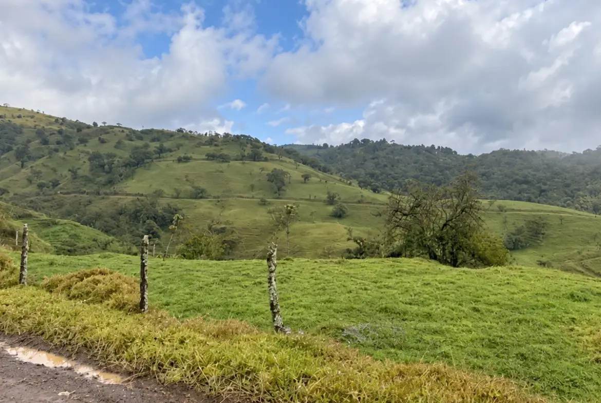 finca a la venta en alajuela zarcero remate bancario